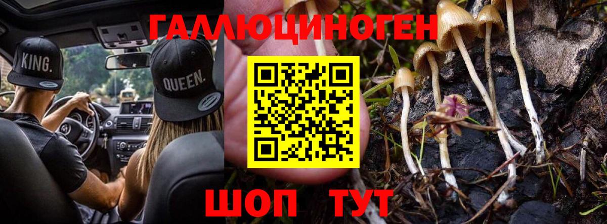Псилоцибиновые грибы MAGIC MUSHROOMS  Вход с VPN  Каменск-Шахтинский 