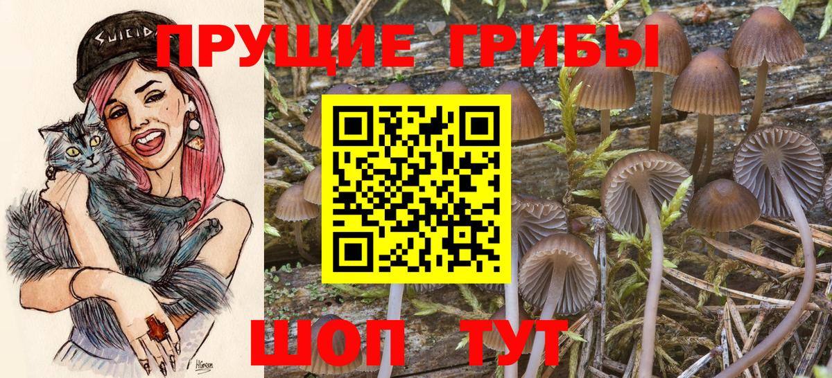 Псилоцибиновые грибы MAGIC MUSHROOMS Каменск-Шахтинский